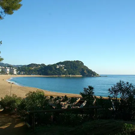 Studio In - Aloe * Lloret de Mar